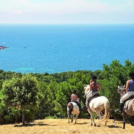 Cap Esterel Magnifique Vue 5 Pers Climatise Apartamento